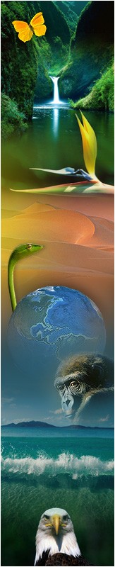 Sophie Miranda, le 19 mars 2007